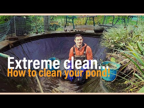 Extreme clean! How to clean your pond!