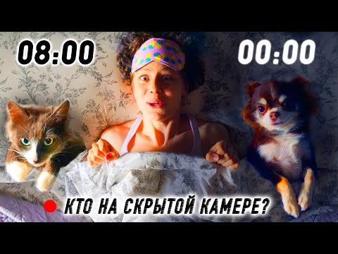 НАШ ДЕНЬ: бассейн, уборка, покупки, новая машина, рум тур, скрытая камера! 24 ЧАСА ВЛОГ ВПЕРВЫЕ