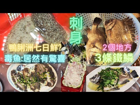 2個街市,3條鱗王：鐵鱗,刺身/清蒸🤤後現代鴨脷洲七日鮮🤣豹鰨,居然有驚喜👍~fishcutting香港海鮮~社長遊街市Seafood
