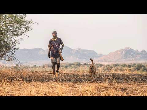 与其抱怨身处黑暗，不如起身提灯前行，知识真的可以逆天改命，22分钟看完2019年真实事件改编传记电影《驭风男孩》