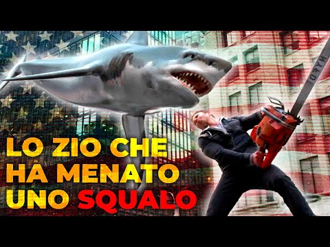 L'Incidente Che Nel 2001 Ha Scatenato il TERRORE in America