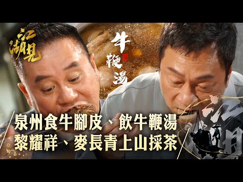 江湖見|泉州食牛腳皮 飲牛鞭湯 黎耀祥、麥長青上山採茶|黎耀祥 麥長青| 旅行 旅遊 打卡 景點 |TVB綜藝
