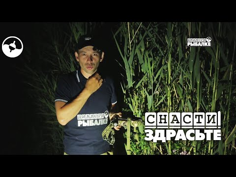 The Best Mosquito Repellent | Gear, Hello!