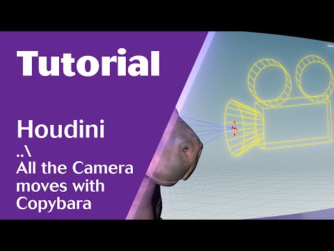 Houdini. Camera animation and settings. All moves.