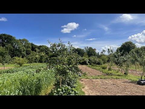 George Monbiot vs Simon Fairlie - 'Vegan vs. Mixed Organic Agriculture' debate
