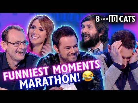 Fall Asleep to This: 4+ Hours of Relaxing Laughs | 8 Out of 10 Cats