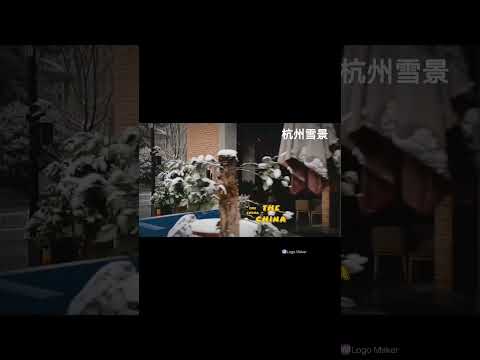 杭州雪景日常生活碎片Eminem - Stan (Long Version) ft. Dido - YouTube