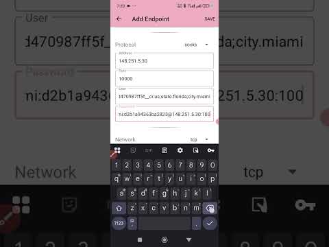 How to add proxy/socks from Dataimpulse into kitsunebi and connect