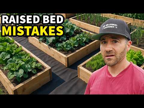 Garden Catastrophe! DO NOT Make These 3 Raised Bed Mistakes