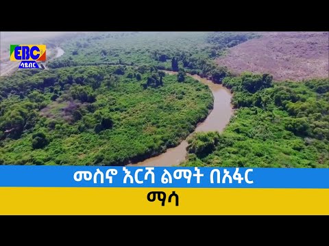 ማሳ - መስኖ እርሻ ልማት በአፋር Etv | Ethiopia | News