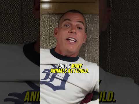 This Is Your Sign To Adopt a Dog