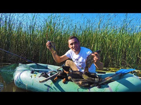 24 ЧАСА НА РЫБАЛКЕ С БОББИ НЕРЕАЛЬНЫЙ КЛЕВ КАРПА И УЛОВ ПОЙМАЛ ЧЕРЕПАХУ