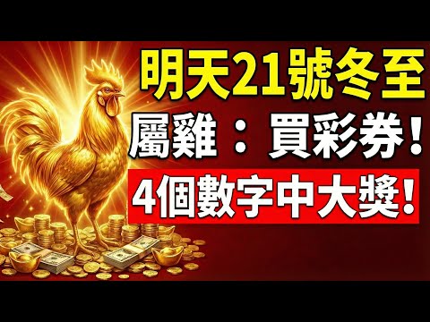 生肖雞，明天12月21號，農曆十一月初二是「冬至」，你的偏財旺！4個數字要牢記，買彩券或可中大獎！#生肖雞 #屬雞 #冬至 #偏財運 #財運 #屬雞運勢 #生肖雞運勢 #發財 #轉運 #幸運數字