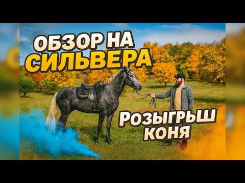🐎 На что способен Сильвер? Испытания коня: конкур, охота, походы | Александр Обжерин