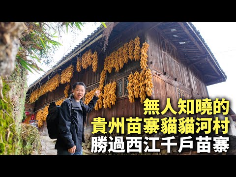 I Discovered a Secret Miao Village in Guizhou’s Terraces — Absolutely Stunning!
