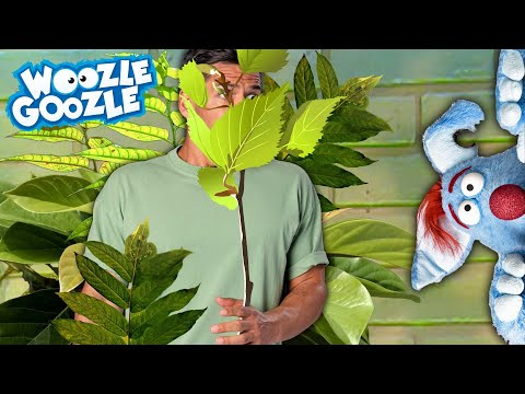 Wie versteckt man sich richtig? l WOOZLE GOOZLE