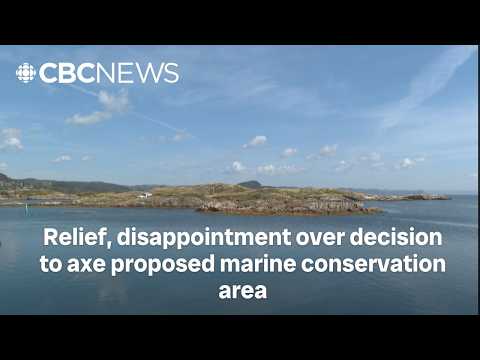 PCs say no to National Marine Conservation Area for south coast of Newfoundland