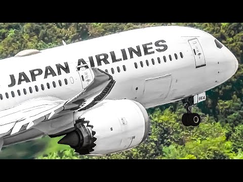 3 HRs Watching Planes With Aircraft Identification | Plane Spotting Tokyo Narita Airport [NRT/RJAA]