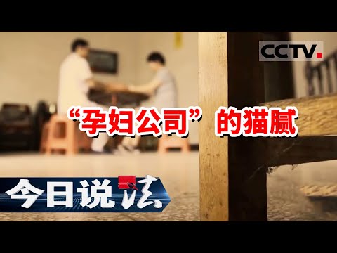 《今日说法》公司221名员工 光孕妇就有189名 这究竟是怎么一回事儿？20231011 | CCTV今日说法官方频道