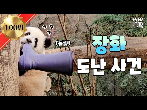 rainboots now belongs to me. Grandpa lover  Lui and the rainboots prefers even better prankster Hui