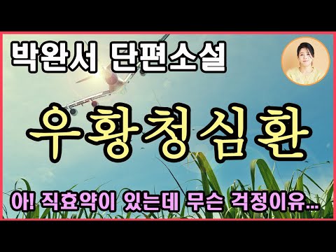박완서단편소설[우황청심환] 어떻게 아내를 위로할 것인가. 첫 포옹처럼 가만가만 아내를 안았다. 그리고 가슴을 열고 서로의 상처를 조심스럽게 맞댔다. 나에게도 상처가 있다오.