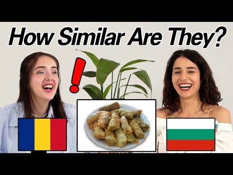 How Similar Are Romanian and Bulgarian? Can They Understand Each Other?