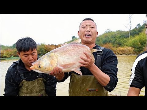 花14000元包下口养了七年的老山塘，老板竟然说我拉不到鱼？#户外 #捕鱼 #三农 #农村生活 #捉鱼 #catchingfish #fishing #outdoor#rurallife