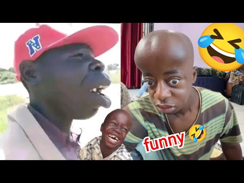 The best of internet (2025)  Top 200 Funniest videos / You laugh you lose🤣😂