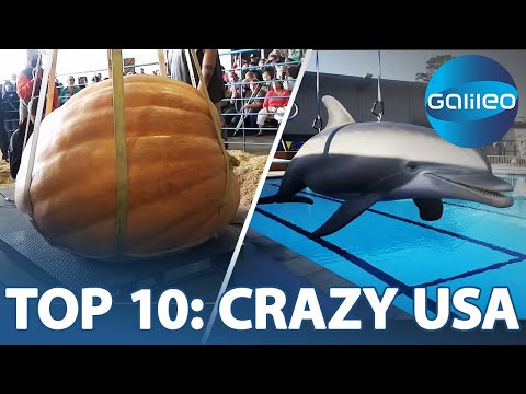 Vom gigantischen Kürbis bis zum autonomen Robo-Delfin | Galileo 360° | ProSieben