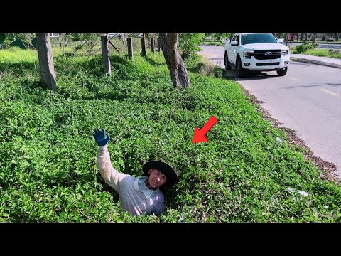 Sidewalks near hotels and high rise apartments are covered with grass and dangerous