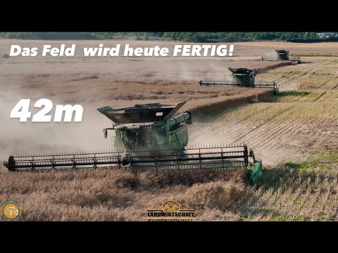 Das Feld wird heute FERTIG! 42m Abeitsbreite 3x John Deere X9 1100 Mähdrescher beim Raps Dreschen