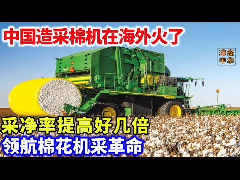 中国造采棉机火了#中国制造 #棉花 #种植业