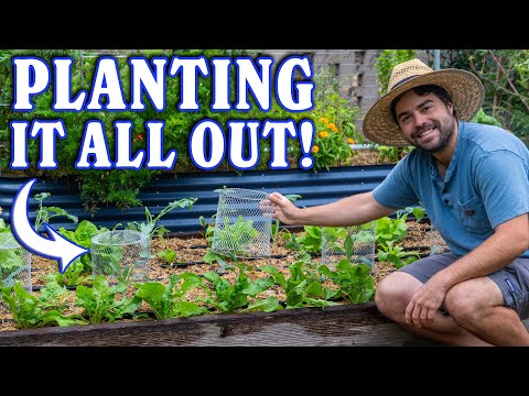 Planting My Fall Garden!