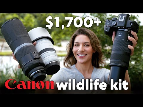 The BEST BUDGET Wildlife Photography for Canon: $1,700+