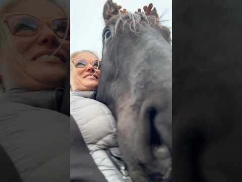 He could smell the crumbs in my pocket 😂#throwback #merrychristmas #happyholidays #horselife #funny