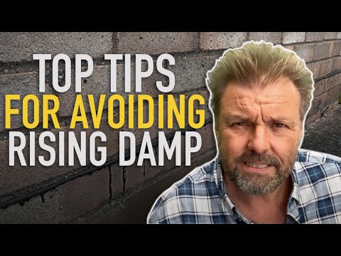 Top 10 Tips For Spotting and Avoiding Rising Damp | Martin Roberts