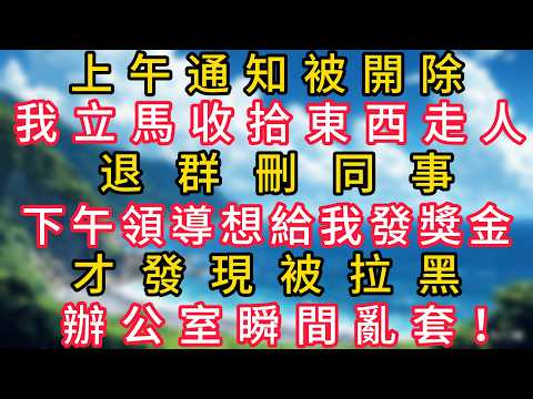 上午通知被開除,我立馬收拾東西走人,退群刪同事,下午領導想給我發獎金才發現被拉黑,辦公室瞬間亂套!#幸福生活#為人處世#生活經驗#情感故事#婆媳故事#子女孝順#孝順#子女不孝