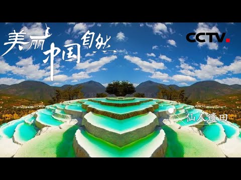 【ENG】被后人称为“仙人遗田”的香格里拉白水台 简直是大自然最传奇的佳作!《美丽中国自然》三江并流系列【CCTV纪录】