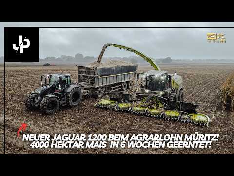 Corn harvest 2025 with the new Claas Jaguar 1200! || JP Agrar