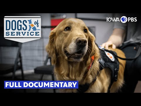 Dogs of Service