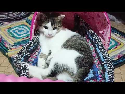 A woman's life in the village.