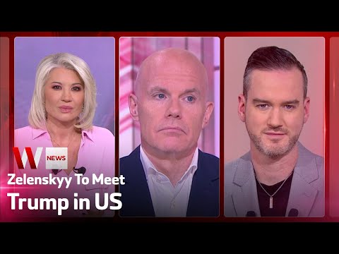 Zelenskyy to Meet Trump in US as Ukraine Accepts Majority of Peace Plan: W News Extra