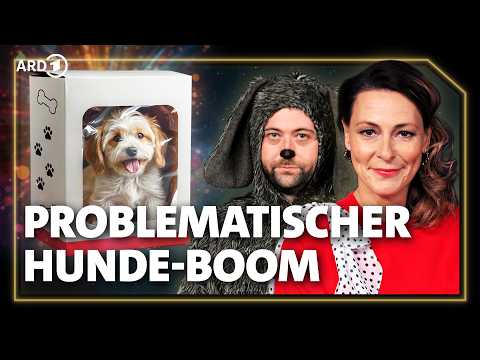 Illegaler Welpenhandel, Qualzucht - Ein Hundeelend. Führt Tierliebe zu Tierleid? | RESCHKE FERNSEHEN