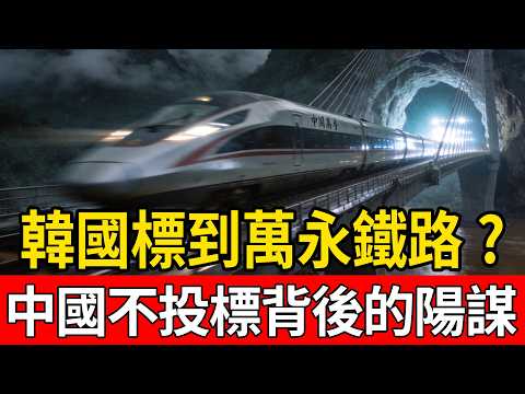 韓國工程師崩潰！標到萬永鐵路才發現底層架構全是中國？揭秘中國不投標背後的頂級陽謀！#中國 #寮國鐵路 #萬永鐵路 #基建狂魔 #韓國製造 #一帶一路 #地緣政治