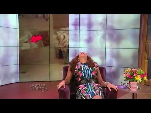 Wendy Williams - ''EXCUSE ME!?'' compilation (part 1)