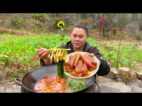 炖一锅香辣猪脚，配着野菜直接吃到饱 Stew a pot of spicy pork feet, which is delicious with wild vegetables
