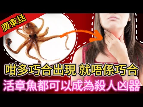 【真實案件】| 邊個都無想到,活章魚都可以係殺人凶器!一單案件,咁多巧合出現,佢就無再係巧合!#犯罪#案件解說