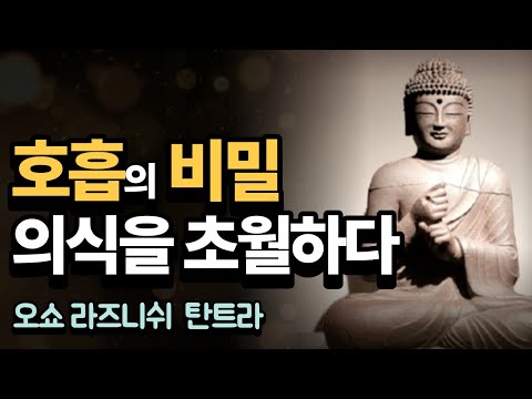 붓다의 마지막 깨달음 – 호흡이 열어주는 초월의 문