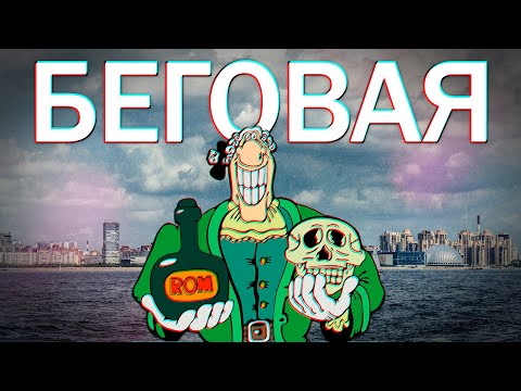 RUNNING in St. Petersburg (Drunken Harbor, Sobakina Sandbank and Z00th Anniversary Park)