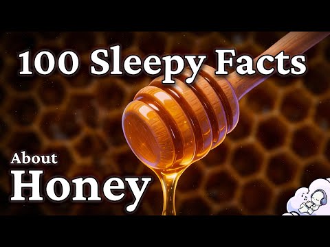 The Most Relaxing Facts About Honey to Fall Asleep To